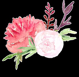 漂亮盛開花卉透明裝飾素材