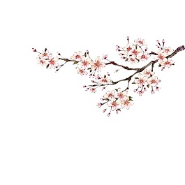 清新粉色花朵元素