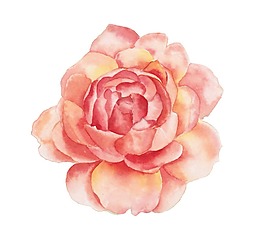 清新粉色花朵元素