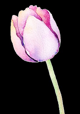 紫色花蕊透明裝飾素材