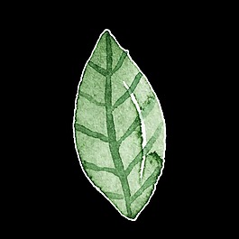 反光枝叶透明装饰素材