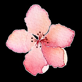 粉色花蕊透明裝飾素材
