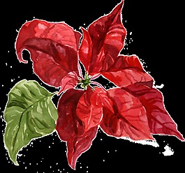 紅心花蕊透明裝飾素材