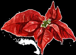 紅色花葉透明裝飾素材