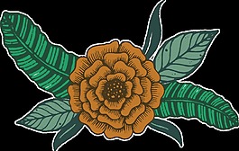 棕黃花蕊卡通矢量素材