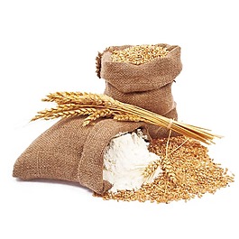 主食糧食大米元素