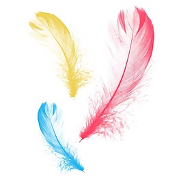 手繪彩色羽毛元素