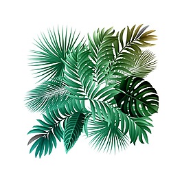 手繪小清新綠葉元素