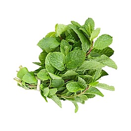 小清新綠葉植物元素