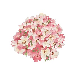 浪漫粉色花朵元素