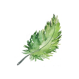 手繪小清新綠葉元素