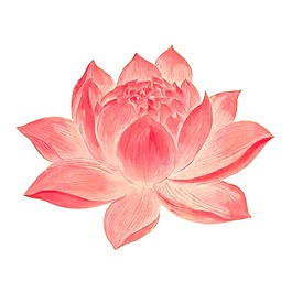 手繪粉色蓮花元素