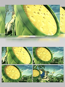 向日葵高清視頻素材