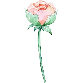手绘水墨花朵元素