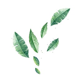 手繪水墨綠葉元素