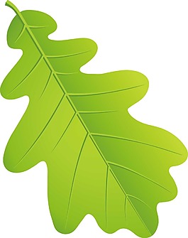 手繪紋理綠葉元素