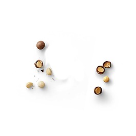 營養(yǎng)堅(jiān)果元素