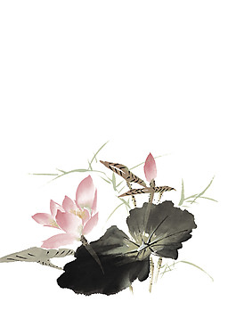 彩色水墨荷花PNG