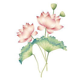 水彩荷花圖案元素