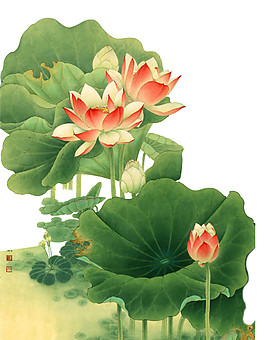 水彩荷花圖案元素