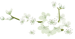 白色花卉圖案元素