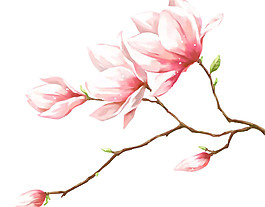 粉色花枝圖案元素