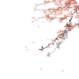 水彩花枝圖案PNG