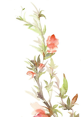 水彩花卉圖案元素