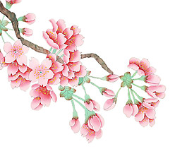 水彩花枝圖案元素