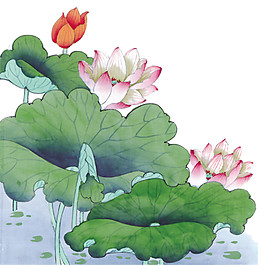 水彩荷花圖案元素