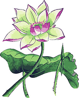 紫色荷花彩繪圖