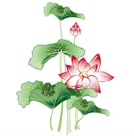 水彩荷花圖案PNG元素