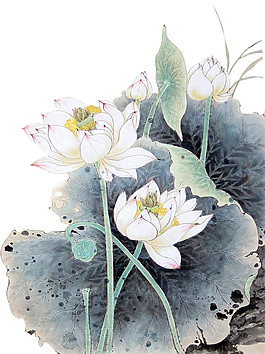 水彩荷花圖案元素
