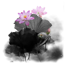 中國風水墨荷花PNG元素