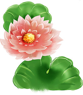 精美荷花PNG圖案