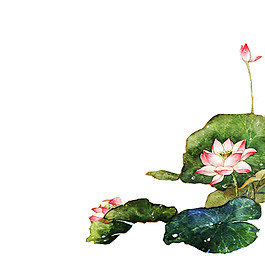 精美荷花彩绘PMG