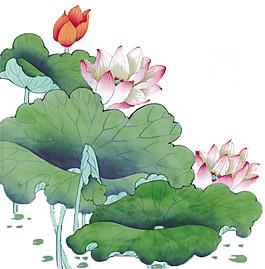 手繪古風荷花PNG圖案