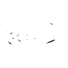 小清新漂浮綠葉元素