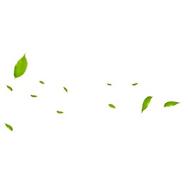手繪漂浮綠葉元素