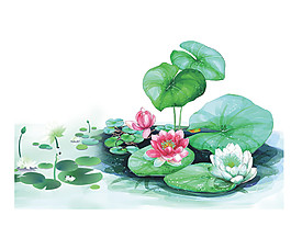 彩繪荷花圖案元素