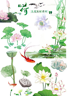 手绘彩色荷塘图案元素