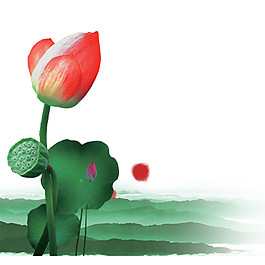 精美荷花PNG