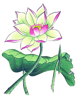 水彩荷花圖案元素
