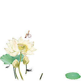 简约荷花彩绘图案