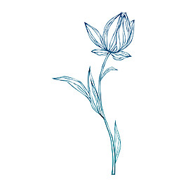 藍(lán)色線描荷花元素