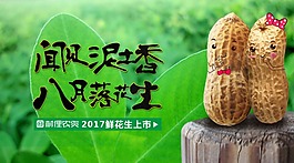 两颗花生psd源文件