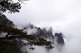 水墨风迎客松云海装饰画