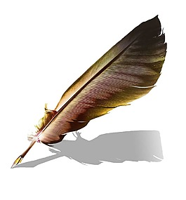 設計羽毛圖案PNG元素