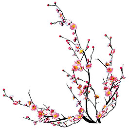 清新风格橘黄色花苞樱花装饰元素