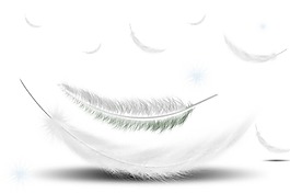 白色色羽毛圖案PNG元素